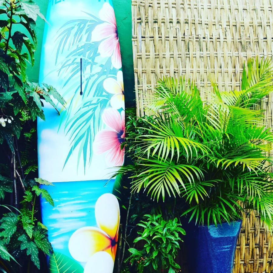Recanto Toca Das Plantas De Ilhabela II Kültér fotó