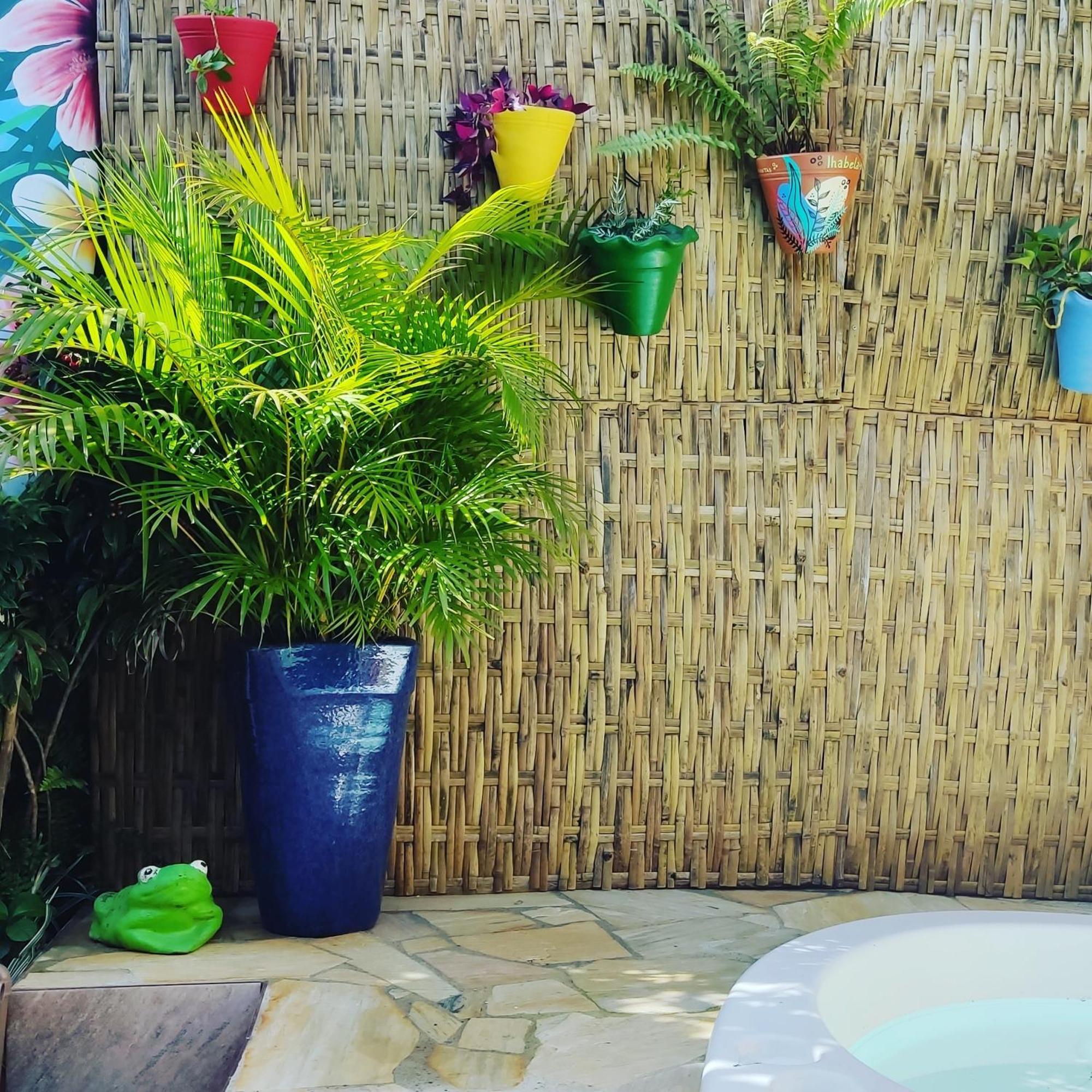 Recanto Toca Das Plantas De Ilhabela II Kültér fotó