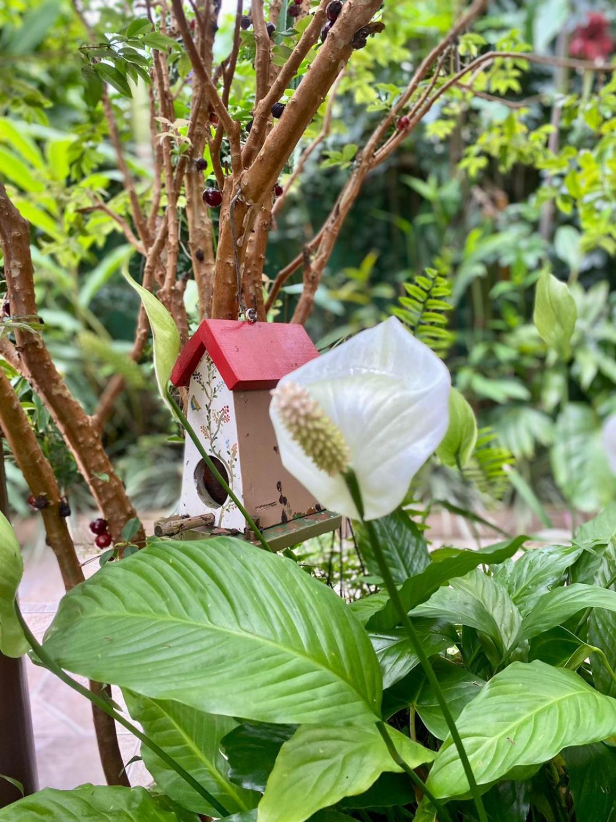 Recanto Toca Das Plantas De Ilhabela II Szoba fotó